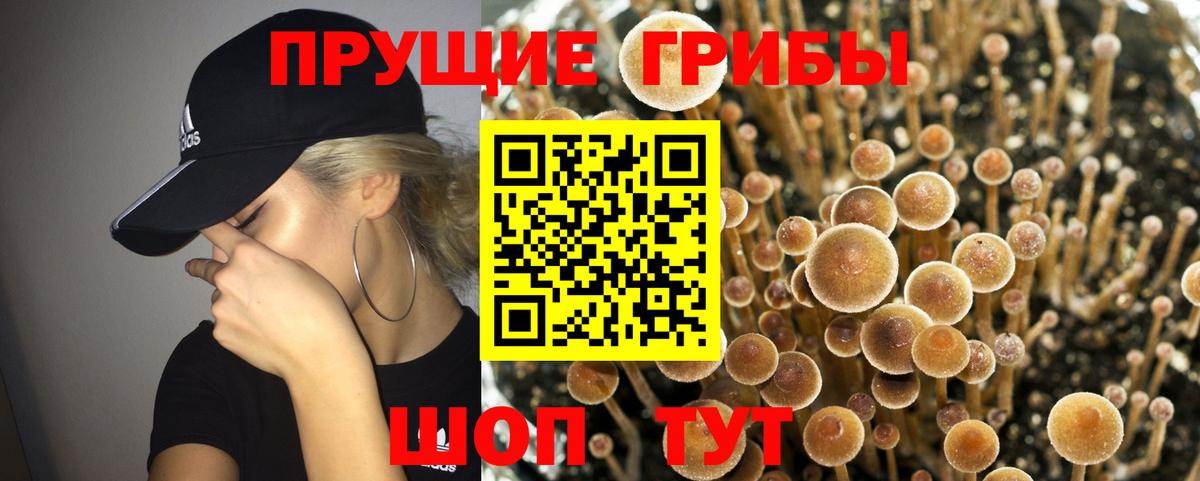 Галлюциногенные грибы мухоморы Луховицы